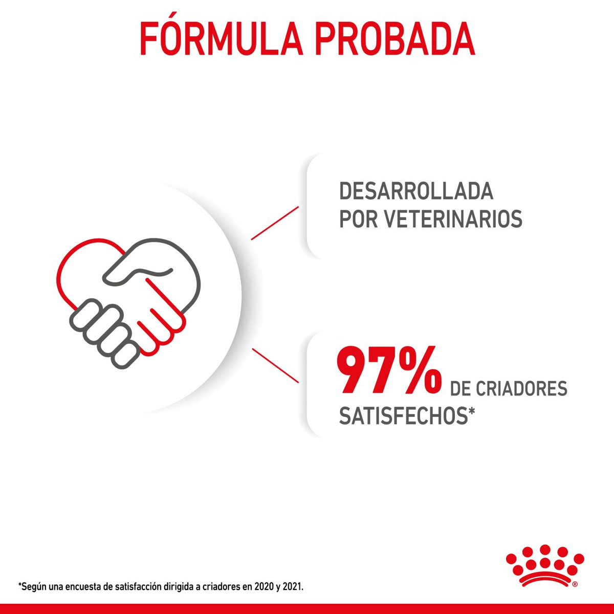 Royal Canin Mini Puppy presentación de alimento seco