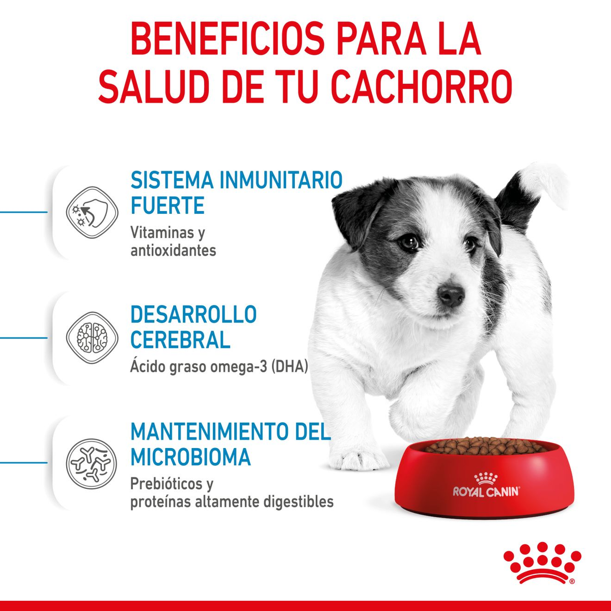 Información del producto Royal Canin Mini Puppy