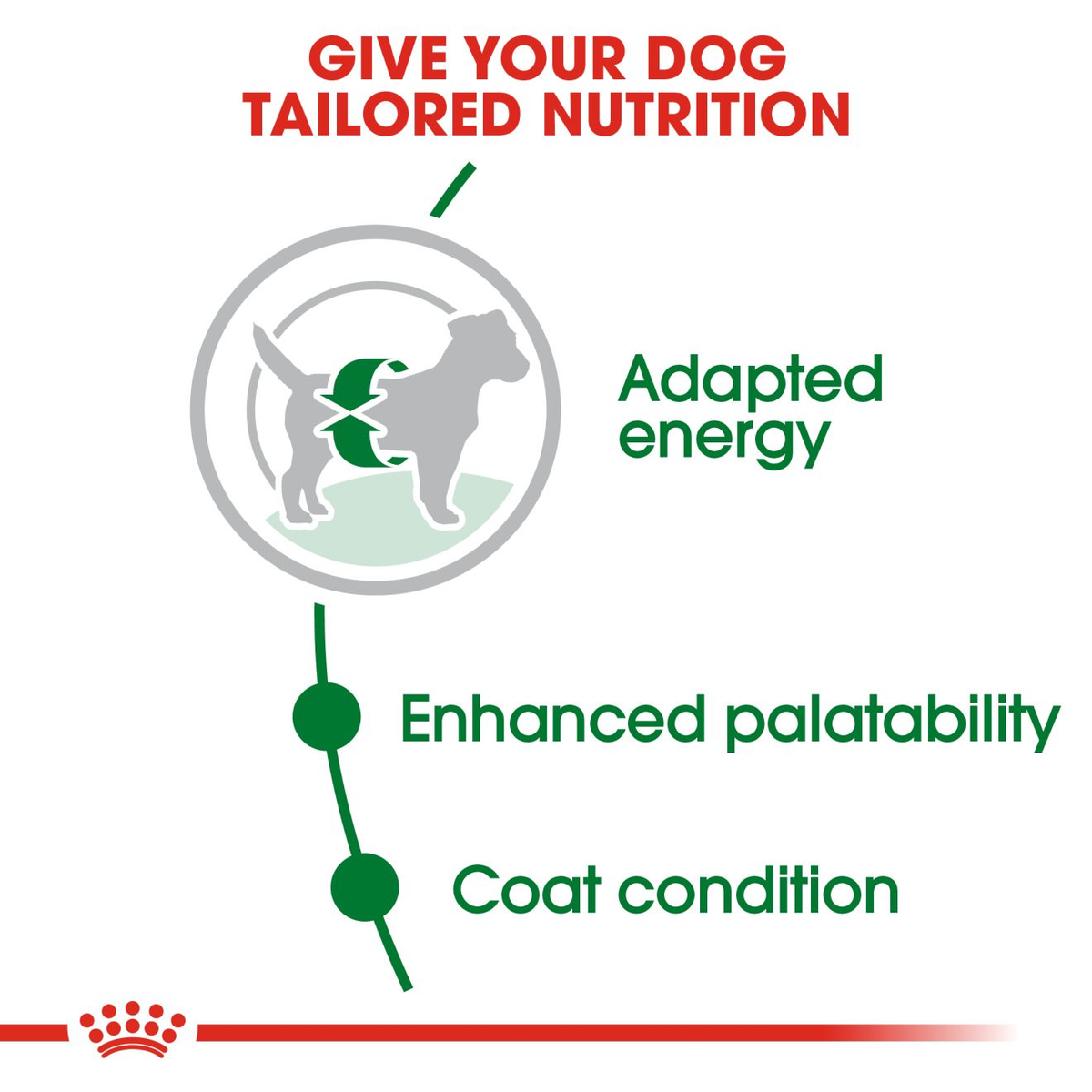 Concentrado Royal Canin Mini Adult con L-carnitina, EPA y DHA para perros de hasta 10 kg