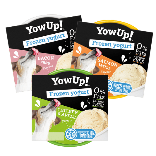 Yogur Helado - Bacon Cake - PetRepublicGtYowUp!2 x Q70