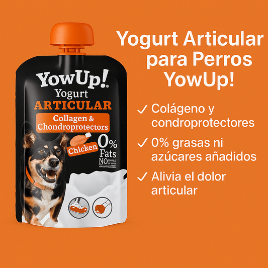 Yogurt para Perros YowUp! Articular – Pollo, Colágeno y Condroitina (115g) - PetRepublicGtYowUp!